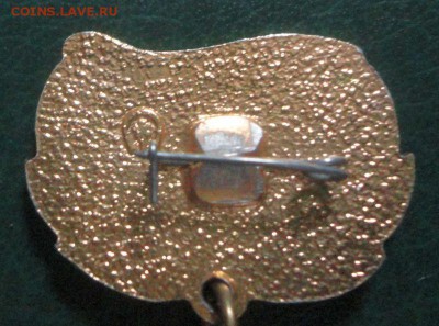 Знаки с груди БАМовца - DSC03452.JPG