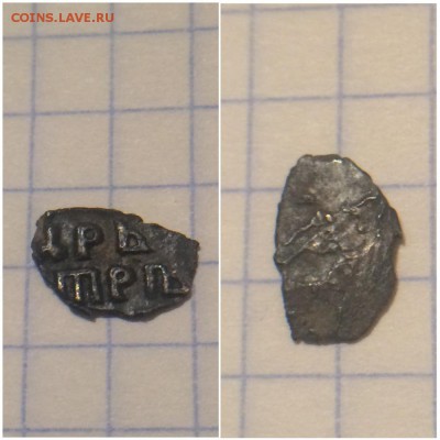 Помощь в опознании чешуи - image