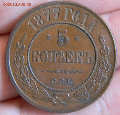 5 коп. 1877 г. 2 коп. 1878г. домашние - DSCN0498.JPG