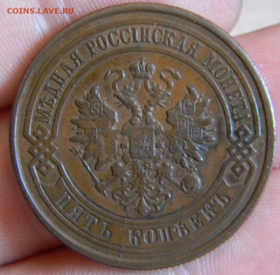 5 коп. 1877 г. 2 коп. 1878г. домашние - DSCN0499.JPG