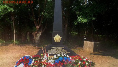 Международные новости - В