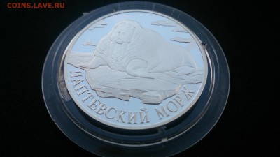 Красная книга 1998 МОРЖ до 27.06 22.00 - DSC_0751.JPG