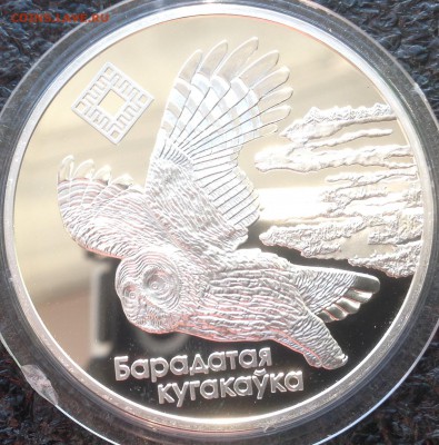 Сова 20 рублей 2005 год республика Белорусь до ухода в архив - IMG_8693.JPG