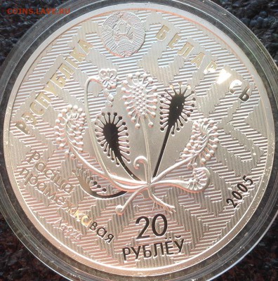 Сова 20 рублей 2005 год республика Белорусь до ухода в архив - IMG_8695.JPG