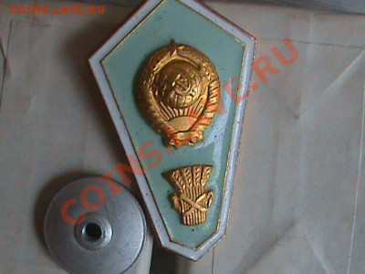 помогите оценить! - DSC00136.JPG