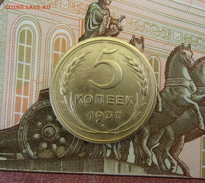 5 копеек 1937 г. до 23. 06 в 22-00. - IMG_8717.JPG
