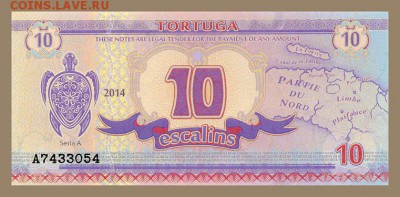 Тортуга 10 эскалино 2014 - лицо - чв_Тортуга_10эскалин-2014_черепаха