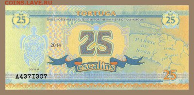 Тортуга 25 эскалино 2014 - лицо - чв_Тортуга_25эскалин-2014_черепаха