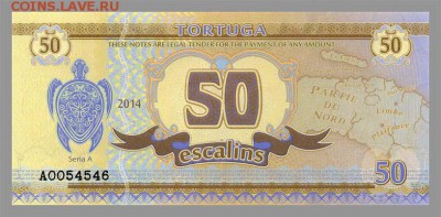 Тортуга 50 эскалино 2014 - лицо - чв_Тортуга_50эскалин-2014_черепаха