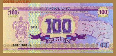 Тортуга 100 эскалино 2014 - лицо - чв_Тортуга_100эскалин-2014_черепаха