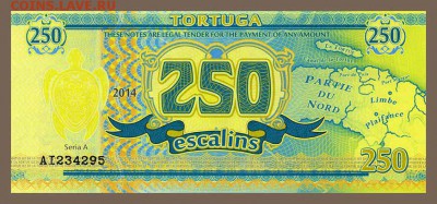 Тортуга 250 эскалино 2014 - лицо - чв_Тортуга_250эскалин-2014_черепаха