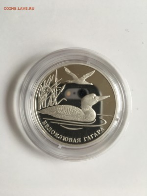 2 рубля 2012 Усач, Гагара, Солонгой до 28 июня 2017 23.00 - IMG_2940.JPG