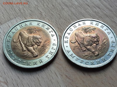 КК 10 р 1992г Амурский тигр-2шт до 15.00 28.06.17 - 20170625_171753