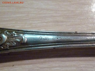 Вилка - P1060047 (2).JPG