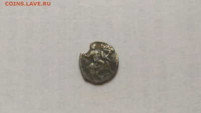 Нужна помощь в определении чещуйки - IMG-20170626-WA0000