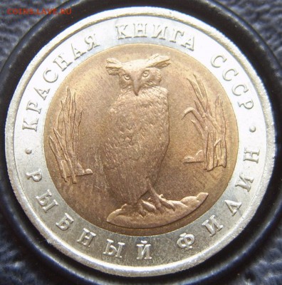 Красная книга 1991 в коробке - КК-1991-3 в коробке