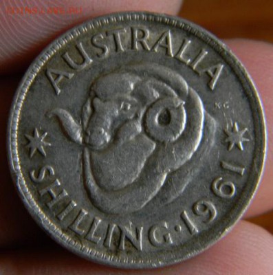 шиллинг австралия 1961г. - DSCN0624.JPG