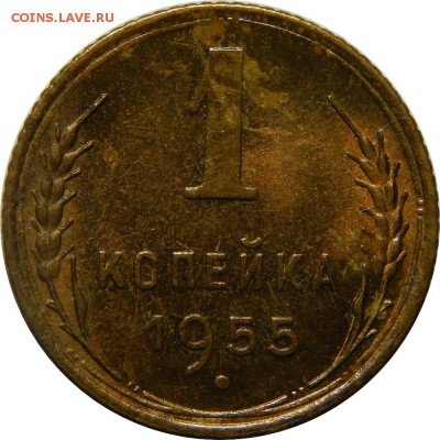 1 копейка 1955, штемпельная, до 30 июня 23-00 - DSCN1910.JPG