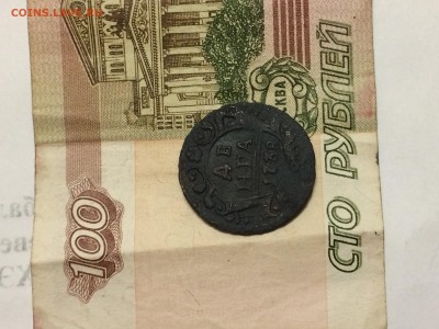 Деньга 1738 Анна Иоановна  в сохране до 30.06 22-00 - IMG_3843.JPG