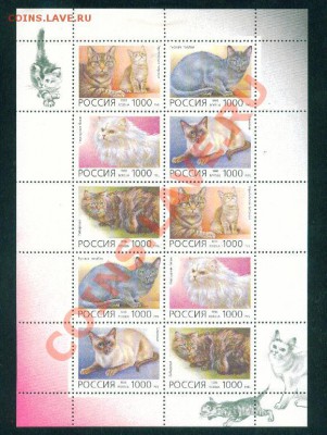 Малые листы. - 1996г.Кошки.JPG