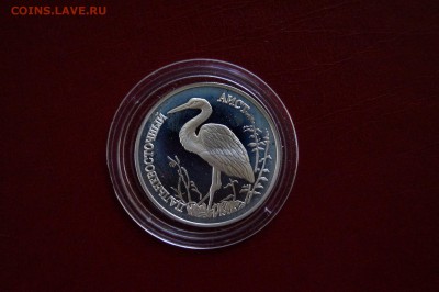 1 рубль 1995г. Дальневосточный аист до 03.07.2017 22.30мск - аист1.JPG
