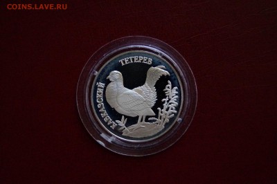 1 рубль 1995г. Кавказский тетерев до 03.07.2017 22.30мск - тетерев1.JPG