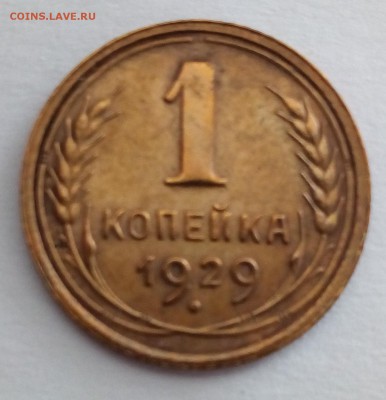 1 копейка 1929 года,хорошая. - копейка 1
