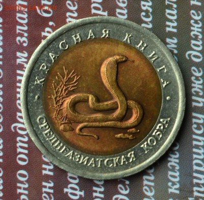 КК Среднеаиатская кобра до 01.07 в 22:20 - кобра а