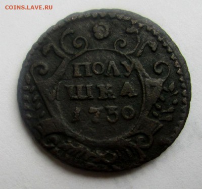 Полушка 1730 года. - IMG_7361.JPG