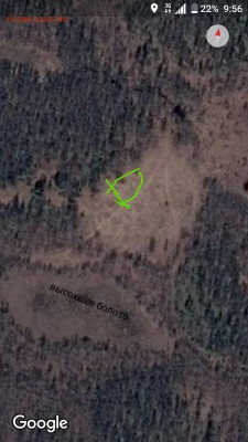 Поляна. - aviary-image-1498785477758