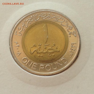 50 пиастров , 1 фунт 2008г. Египет , до 06.07.17г. - египет-1-1
