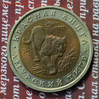 КК 1992 Амурский тигр до 03.07 в 22:15 - тигр а