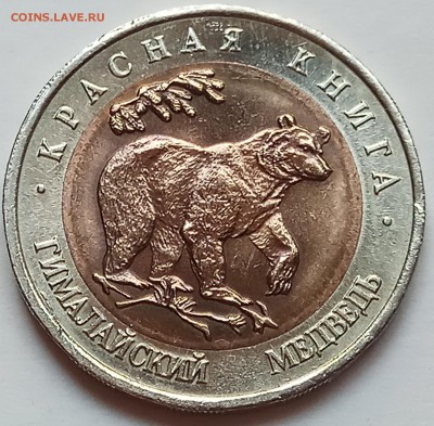 КК 50 руб. 1993 г. "Медведь", до 04.07., в 22.10 МСК - IMG_20170630_150155 копия