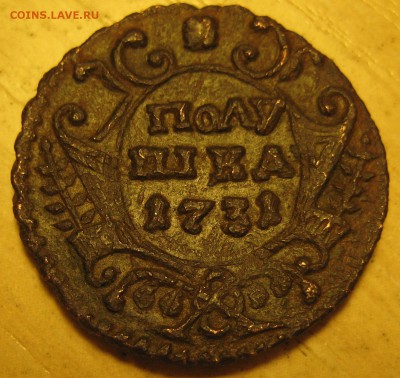 полушка 1731г. оценка, определение разновидности - IMG_0005.JPG