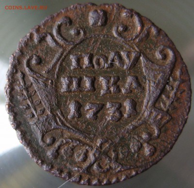 полушка 1731г. оценка, определение разновидности - IMG_001 (2).JPG