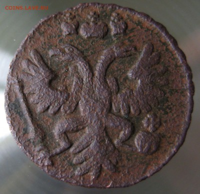 полушка 1731г. оценка, определение разновидности - IMG_0003.JPG