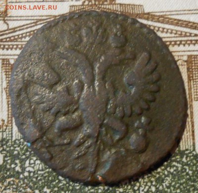 Полушка 1731 г.на оценку. - 160