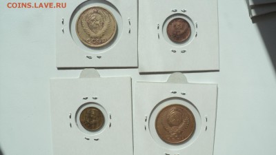 Ходячка позднее СССР медь нечастая - DSC00509.JPG