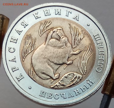 КК 50 руб. 1994 г. "Слепыш", до 06.07., в 22.10 МСК - IMG_20170701_181236 копия