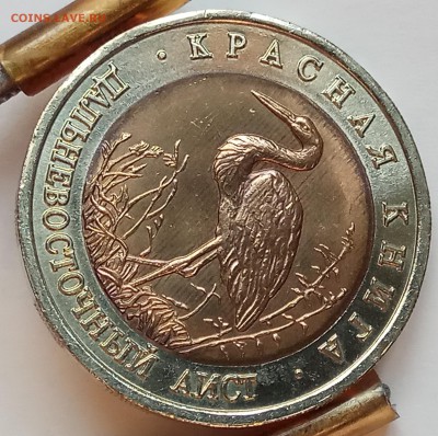 КК 50 руб. 1993 г. "Аист", до 04.07., в 22.10 МСК - IMG_20170701_184042 копия