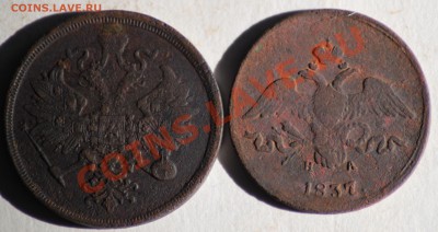 3 копейки 1860 ем +бонус до 26.02.11 по 21.00 МСК - IMG_2598