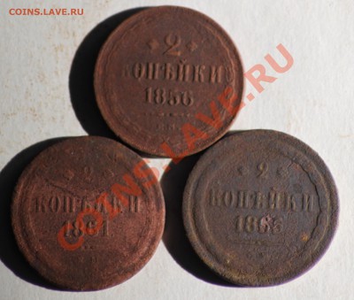 3 копейки 1860 ем +бонус до 26.02.11 по 21.00 МСК - IMG_2599