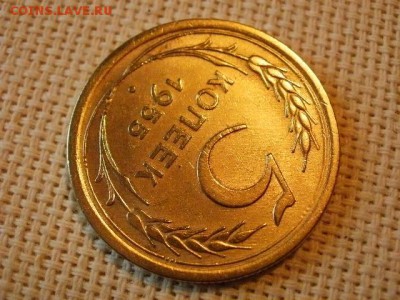 5 копеек 1955 года Из Обращения! Сохран! до 5.07. - P1030130.JPG
