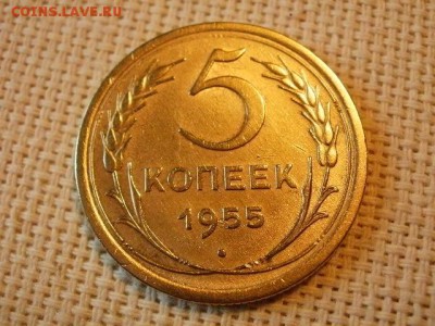 5 копеек 1955 года Из Обращения! Сохран! до 5.07. - P1030129.JPG