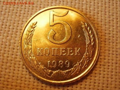 5 копеек 1981 года Не Наборная! Из мешка! + Бонус! до 5.07. - P1030141.JPG