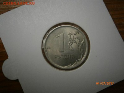куплю разновиды современной ходячки - P7040032.JPG