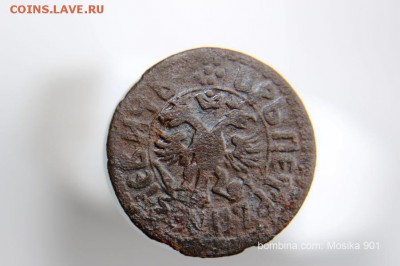 Полушка Петра-1.1705г.R-2 - mosika_901_00230