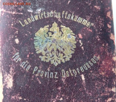 Немецкий крест в деревянной коробке - P7041225.JPG