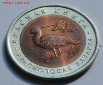 Красная Книга. 10 рублей 1992. Казарка. С 200. До 07.07 - 033
