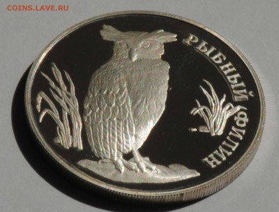 Красная Книга. 1 рубль 1993. Филин. С 1000. До 07.07 - 004
